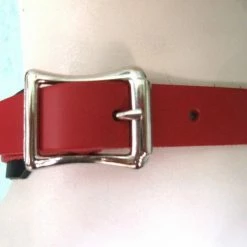Ape Leather Red Leather Bondage Choker With 3 Rings, Clips And Chain