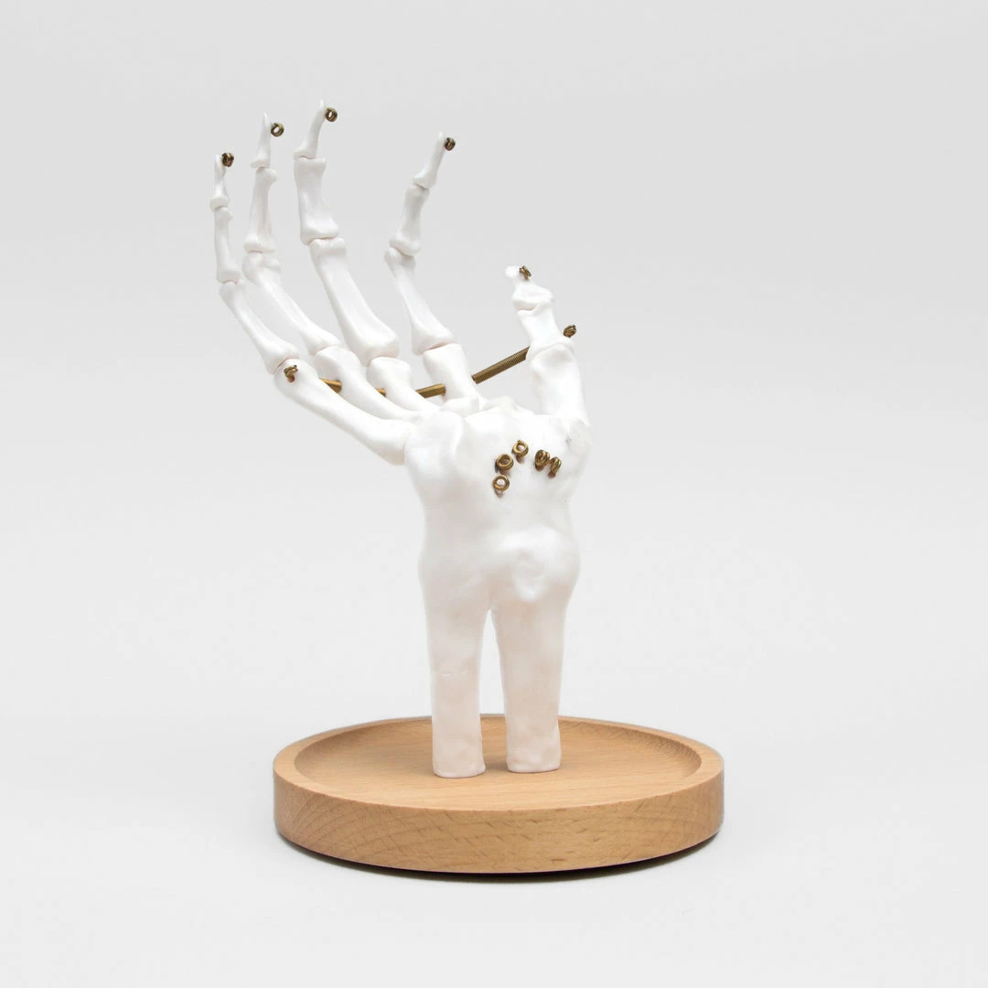 Suk UK Skeleton Jewelry Tidy Housewares 3 Suk UK Skeleton Jewelry Tidy Housewares