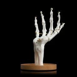 Suk UK Skeleton Jewelry Tidy Housewares 12 Suk UK Skeleton Jewelry Tidy Housewares