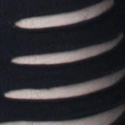 Punk Rave Gothic Burnt Flower Top