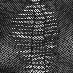 Punk Rave Spider Web Printed Mesh Top Women's Stuff