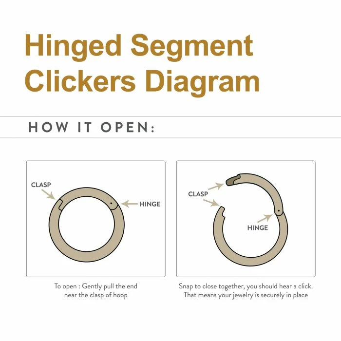 BodyVibe Jewelry Surgical Steel Basic Hinged Segment Ring - 18g 3/8" 5 BodyVibe Jewelry Surgical Steel Basic Hinged Segment Ring - 18g 3/8"